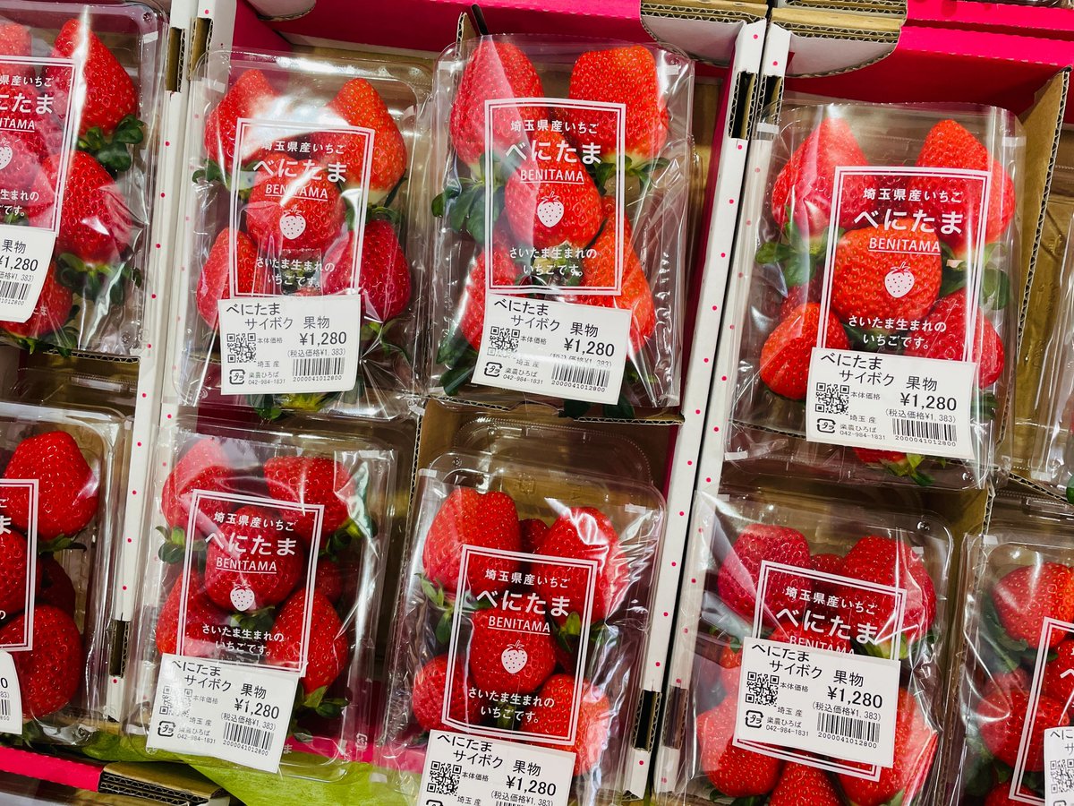 イチオクノホシ様❣️専用ページ❣️16cm 明日は #いちごの日🍓 楽農ひろばにも美味しそうないちご沢山ご用意し