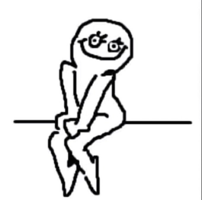 Sofi 🦢 tweet media