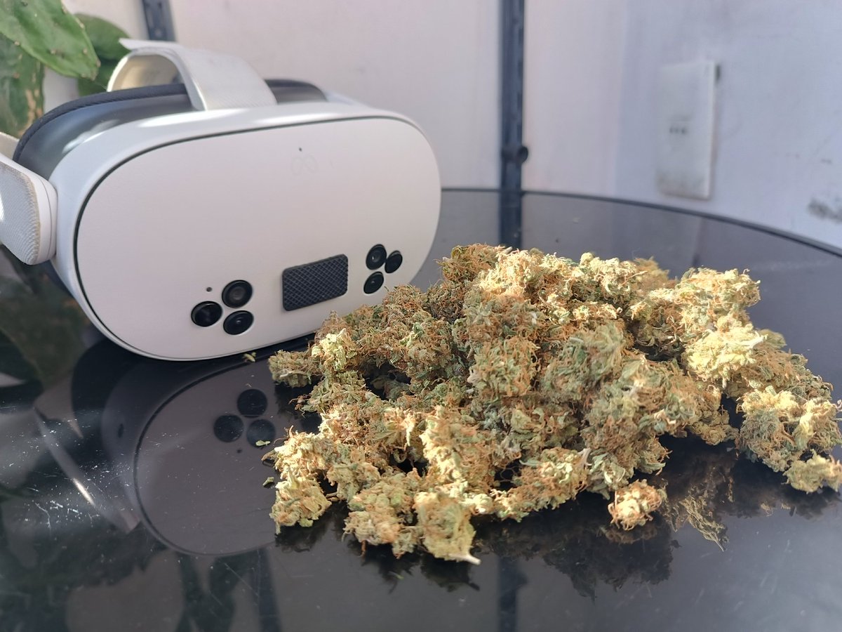 rafaellacerda3d tweet media