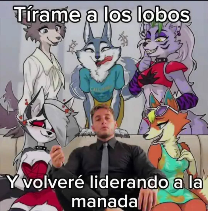 Splinter Paralitico (@splinterenrueda) on Twitter photo 