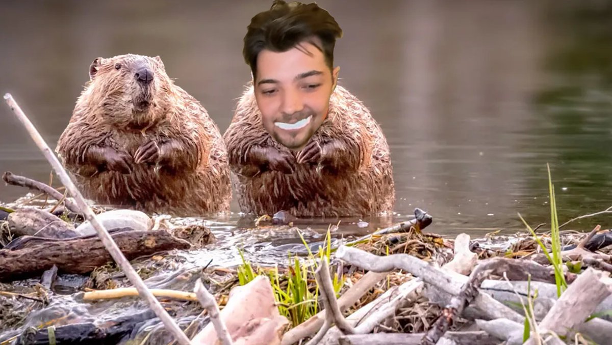 Here's a couple memes without context from todays episode!