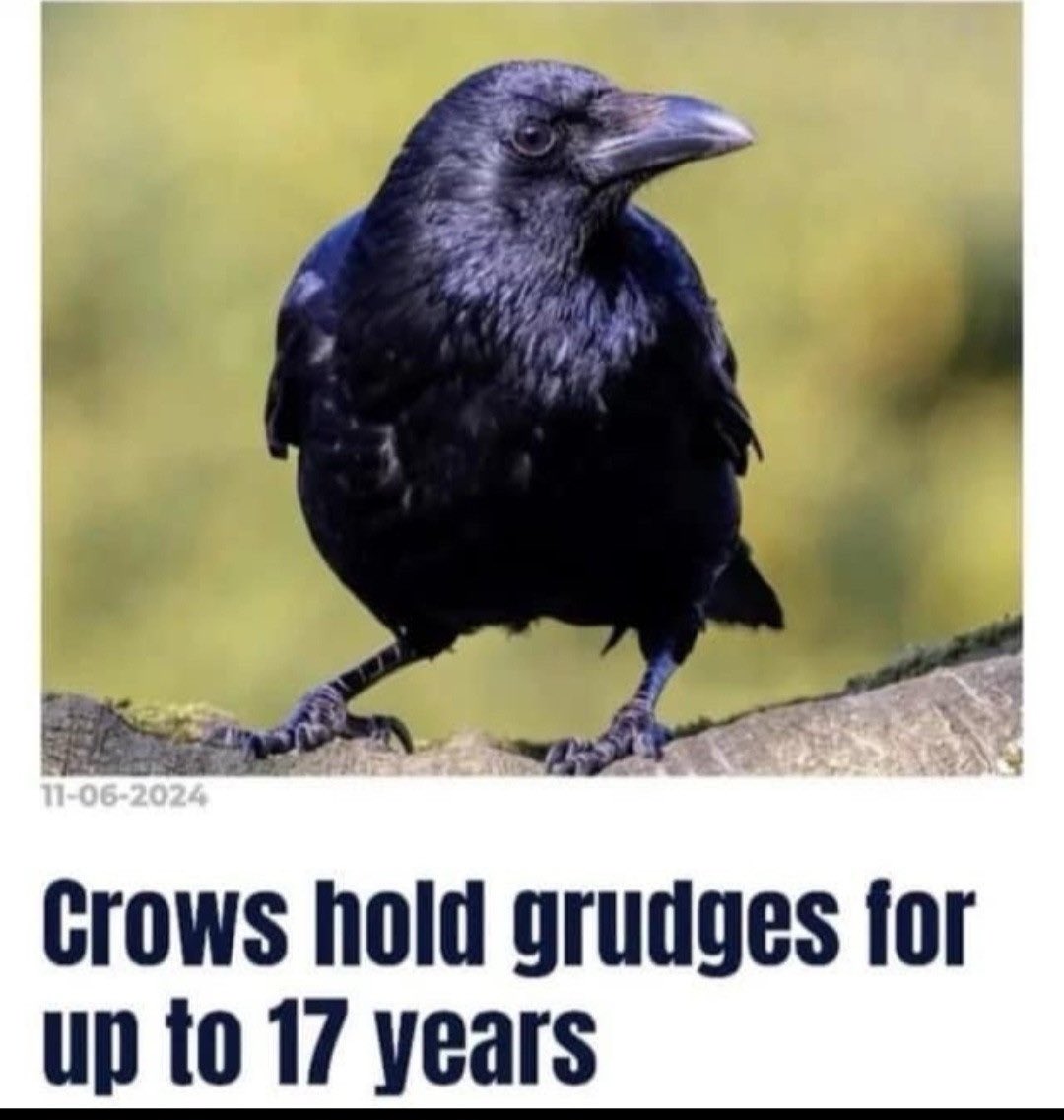 Manatwork2's tweet image. I know. I was reminded lately!