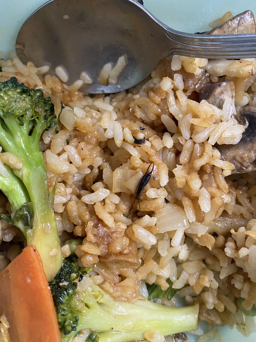 chicninjaa's tweet photo. *UPDATE* uber eats does not care they only refunded me for the rice that had the bug in it. When I had to throw out the remainder of my food. They are an absolute joke. Uber eats supports restaurant that have bugs in their food https://t.co/hlpbhCBHES
