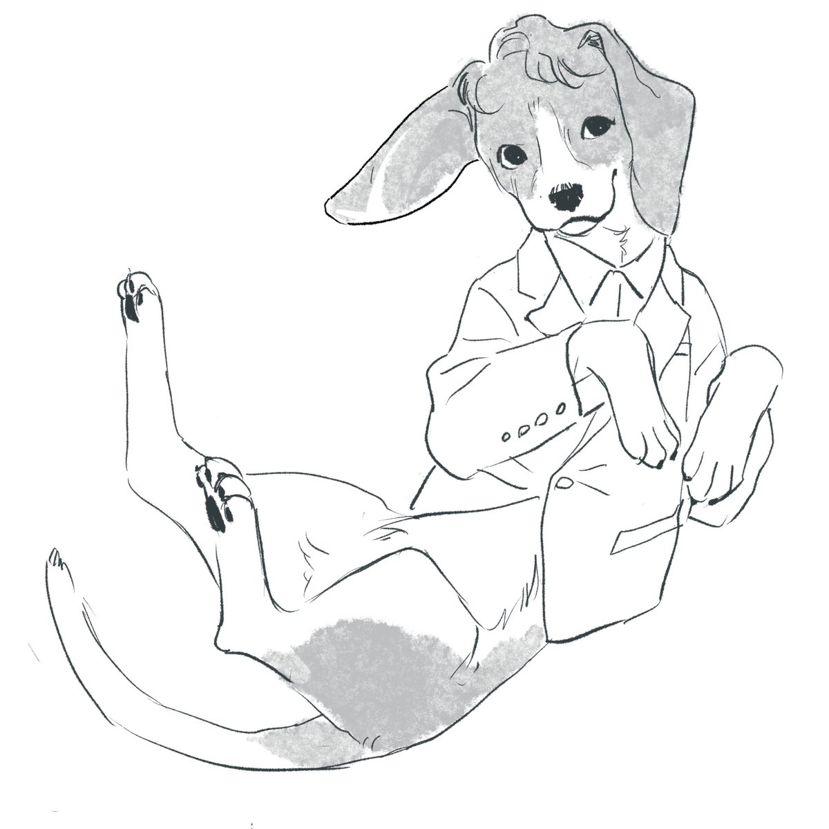 chickfish tweet media