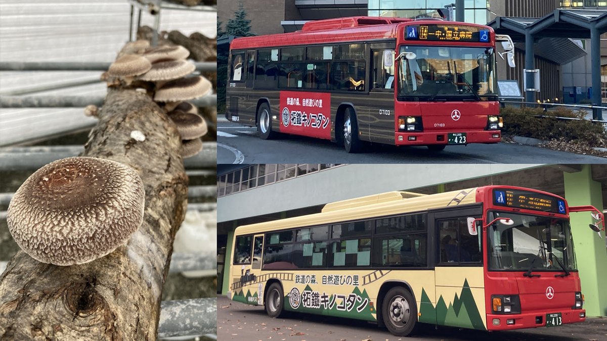 チョロQ バス 拓殖バス 都市間バス Ver 北海道拓殖バス 創立40