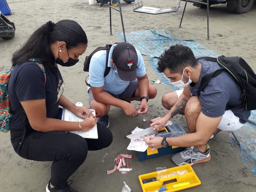 sharkbriomen's tweet photo. I'm very proud of my students. A research project that began in 2021 and ended in the best way possible. Congratulations, young people!
https://t.co/366fUzhUOV https://t.co/EOMSL9iBIu