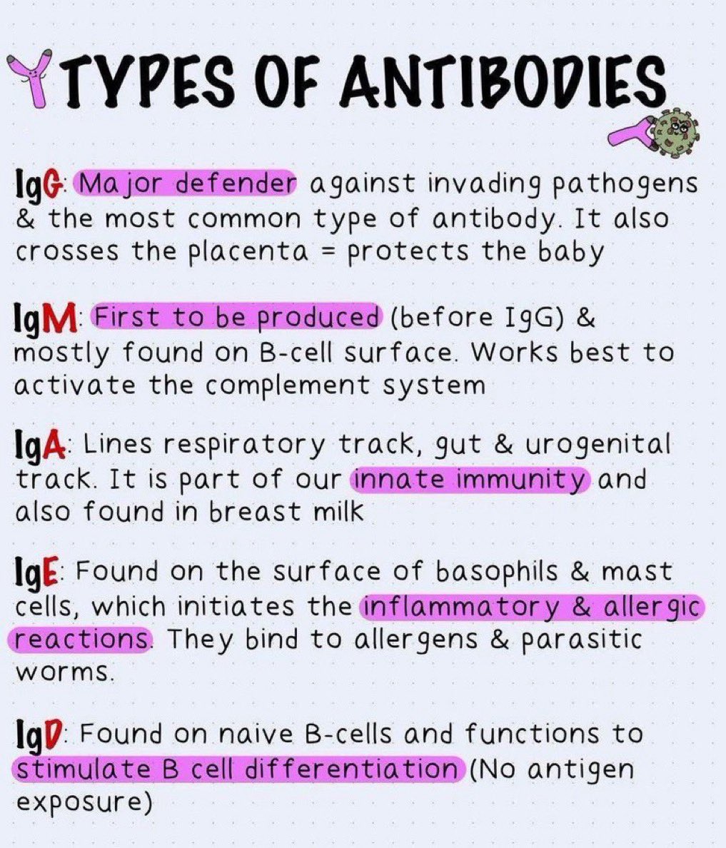 OGdukeneurosurg's tweet photo. Types of antibodies https://t.co/WMtkXNfqSU