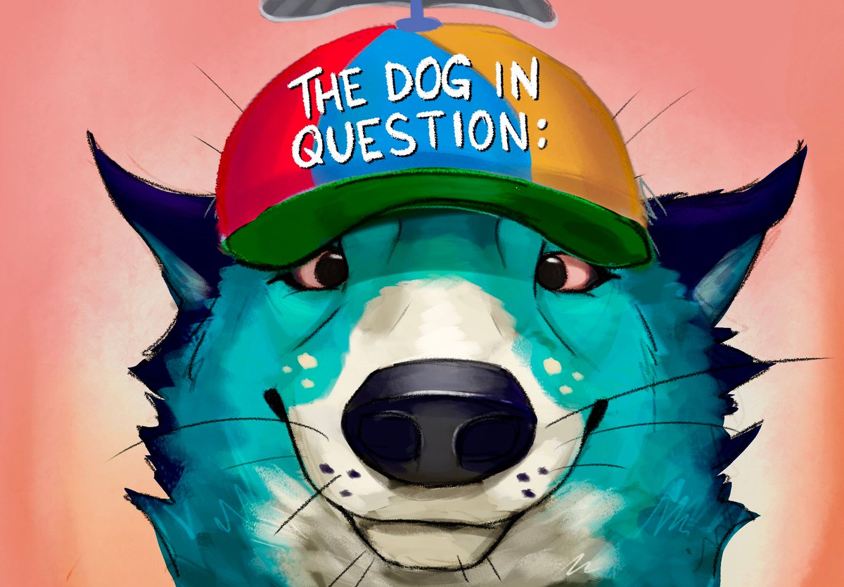 silly dog + sillier hat 

(For Sierra)