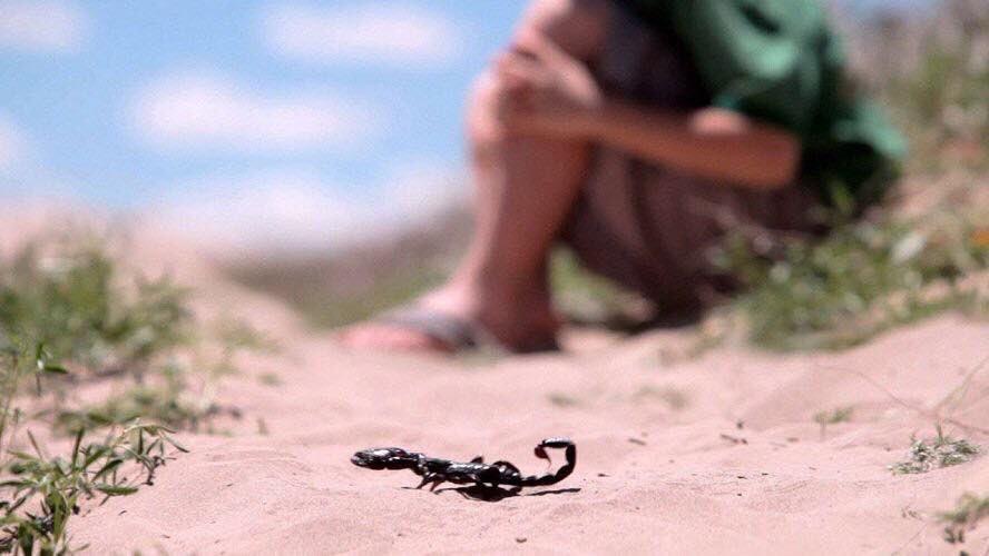 HAᥫ᭡99 tweet media