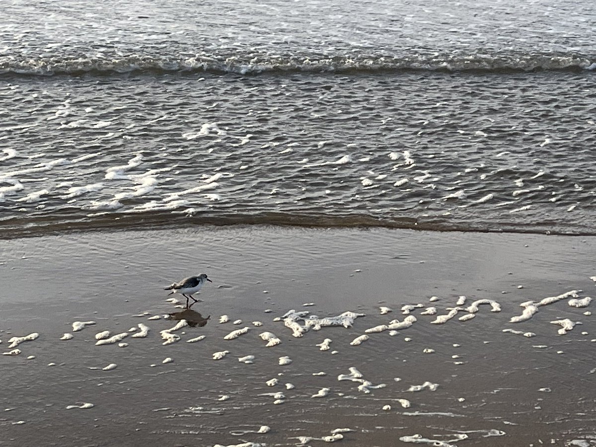 Hermien Lam tweet media