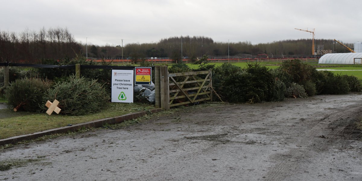 TTNewbridge's tweet image. #ChristmasTree #Shredding has already commenced, &amp;amp; the wonderful landscaping material will – in time - be used for local landscaping projects.

The recycling facility is available until Monday 20th of January 2025.

Please don't leave other waste or Litter at the recycling site!
