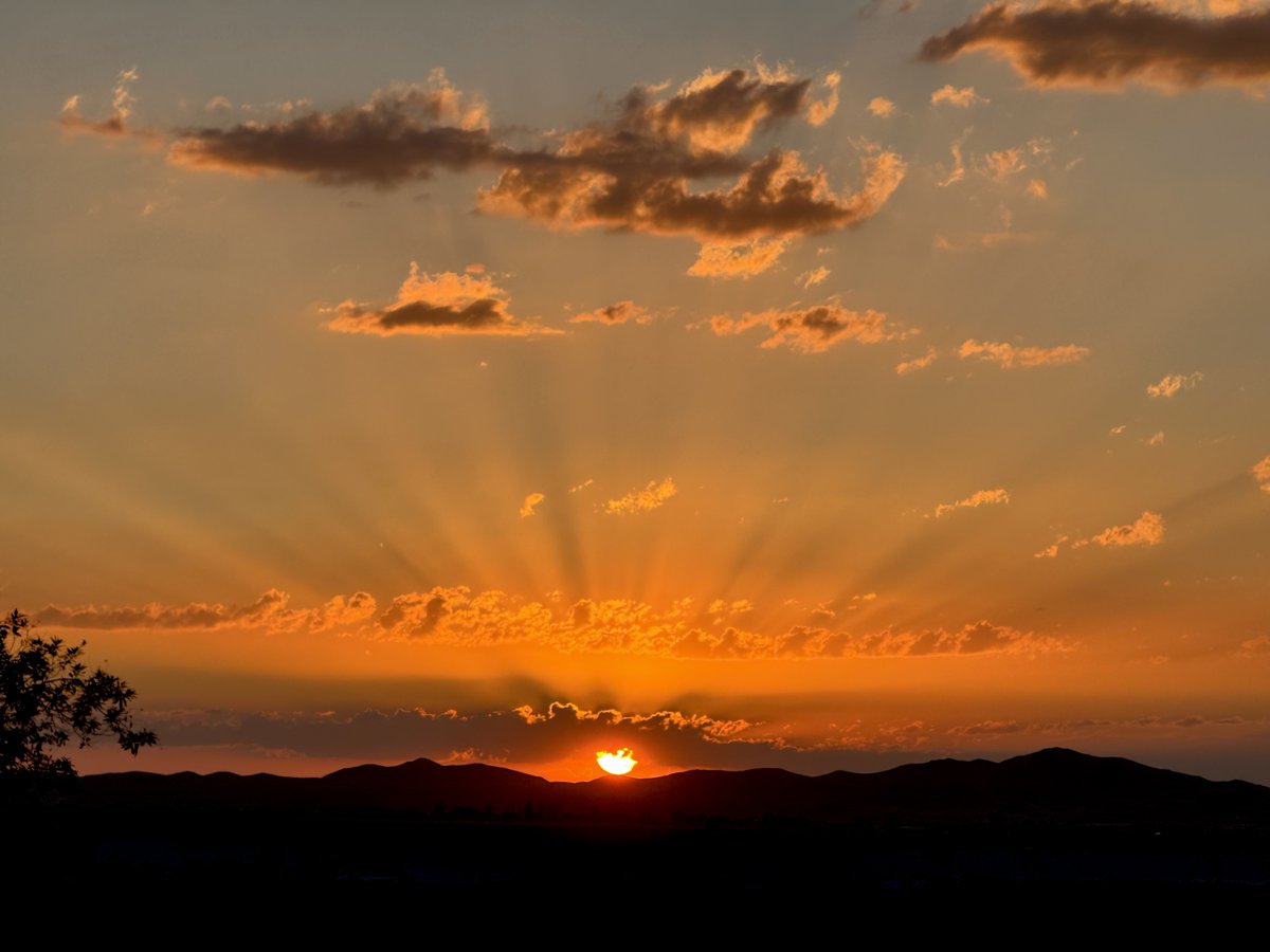 Steven Gutterman tweet media