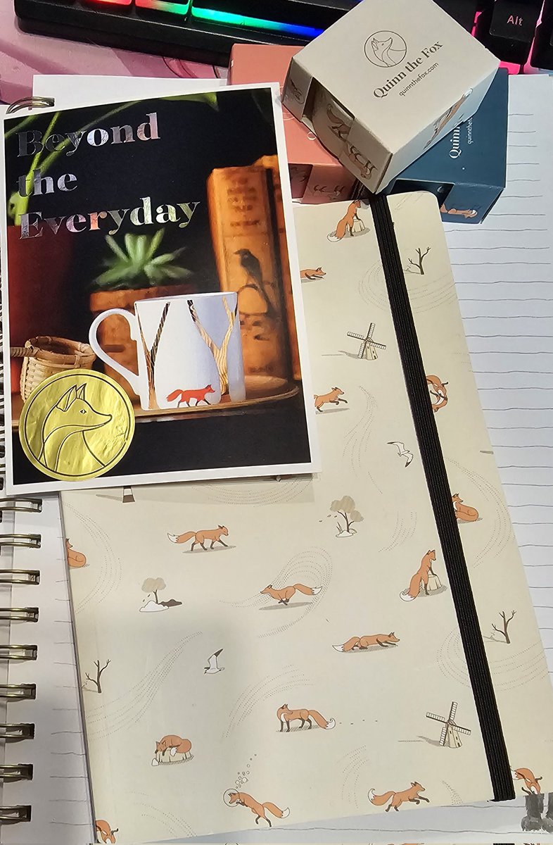 <a href="/quinn_the_fox/">Quinn The Fox 🦊</a> Everything is so cute! I was needing a new journal for February so it's perfect 🦊
Unfortunately our mail system was down and I missed getting to put the bauble on the tree, but this year's Christmas it'll be an awesome addition :3