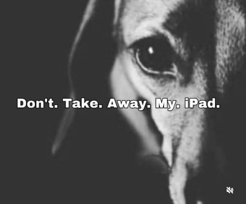 🕐HOURLY🕑 shitpost (@hourly_shitpost) on Twitter photo 