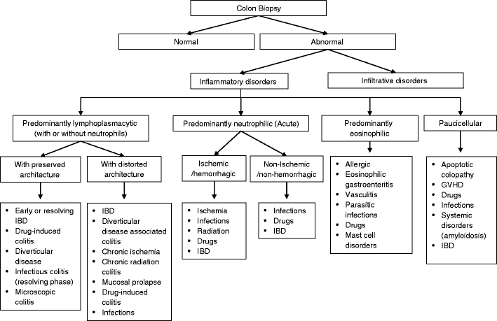 thejourneymate's tweet photo. An Outline of an Algorithmic Approach to Colonic Biopsies 🔬
https://t.co/ejNk99mxei https://t.co/ytlxFwVLmw