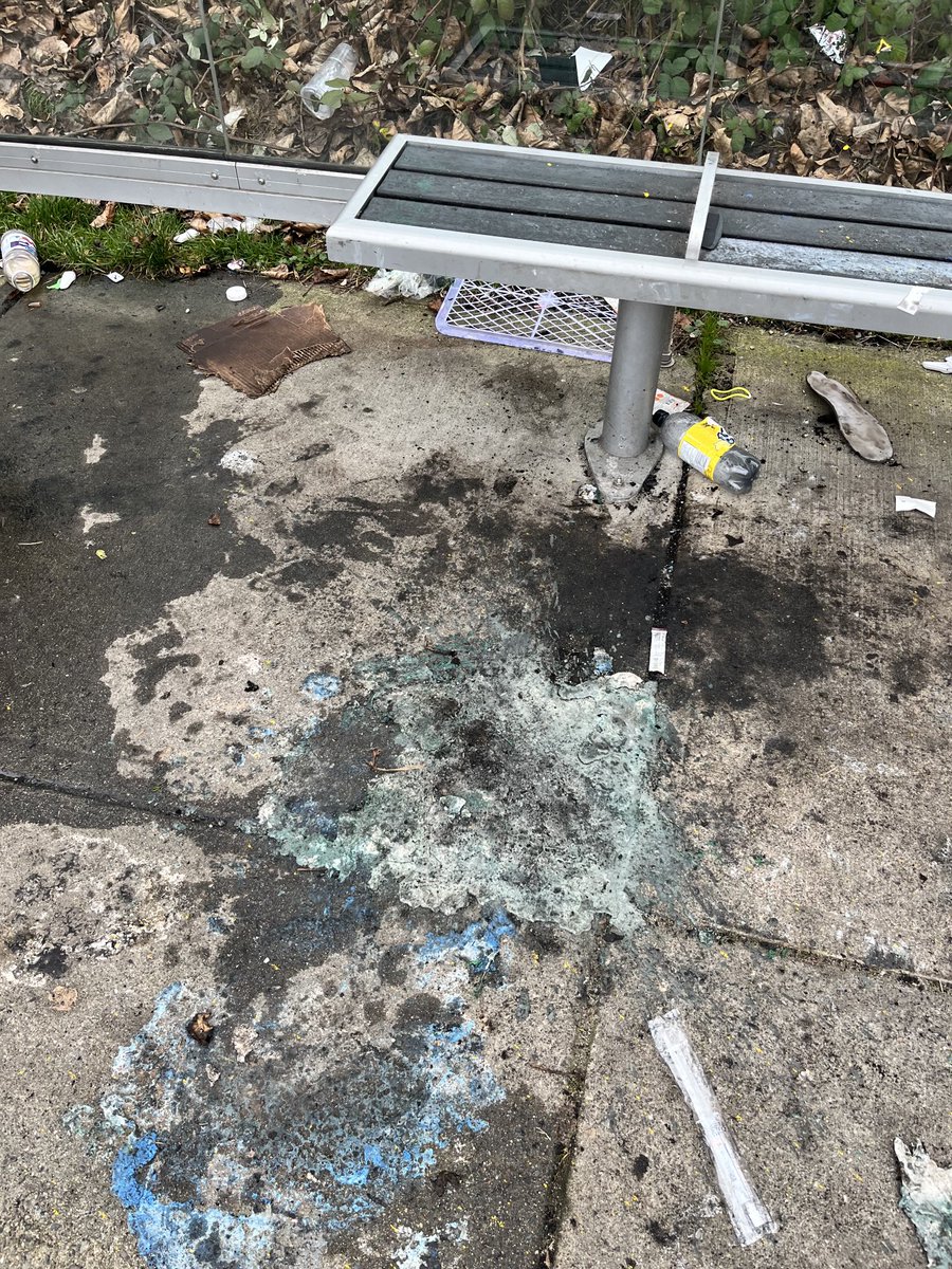 ⁦<a href="/TransLink/">TransLink BC</a>⁩ is it possible to get the busstop cleaned up, stop 61966?