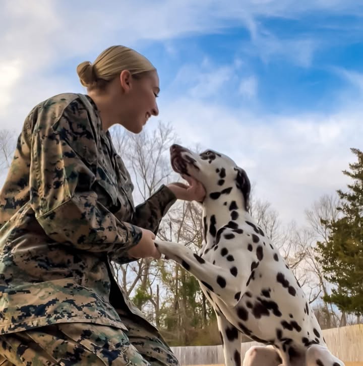 What is much too serious in matter to me entrusted to the military.