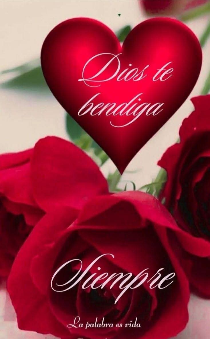 HigaredaLulu's tweet photo. ❤️💕❤️💕 Bendecida tarde ❤️💕❤️💕❤️💕❤️💕❤️💕❤️💕❤️💕❤️ https://t.co/OX1X0CG6F3