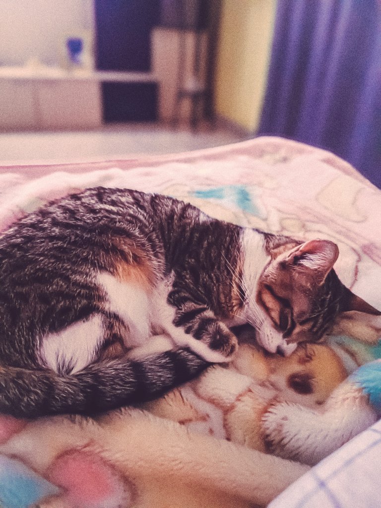imeonx_'s tweet photo. Ti amo immensamente piccola vaniglia mia ❤️ https://t.co/uZAL0130Z5