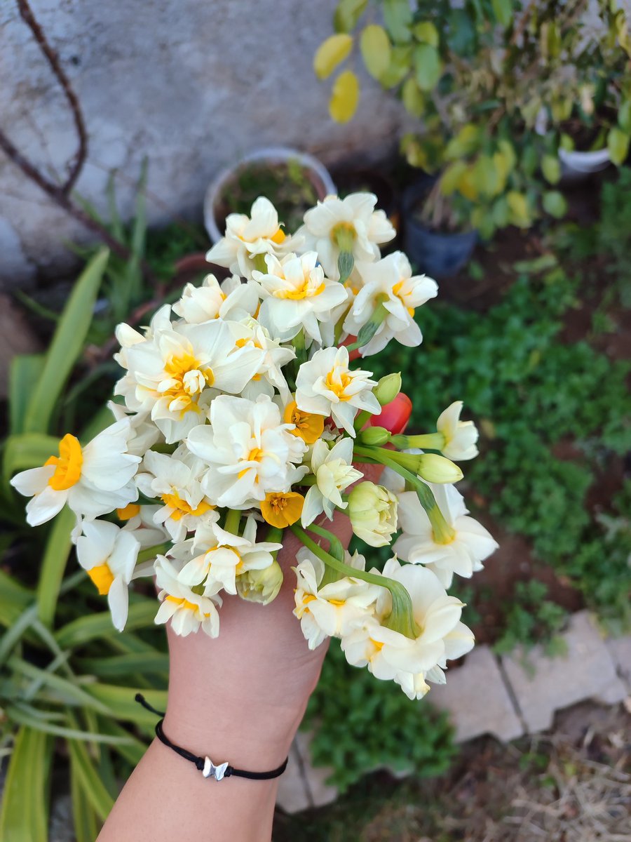 Bilmemkaçıncızehha (@zehhaaa) on Twitter photo 