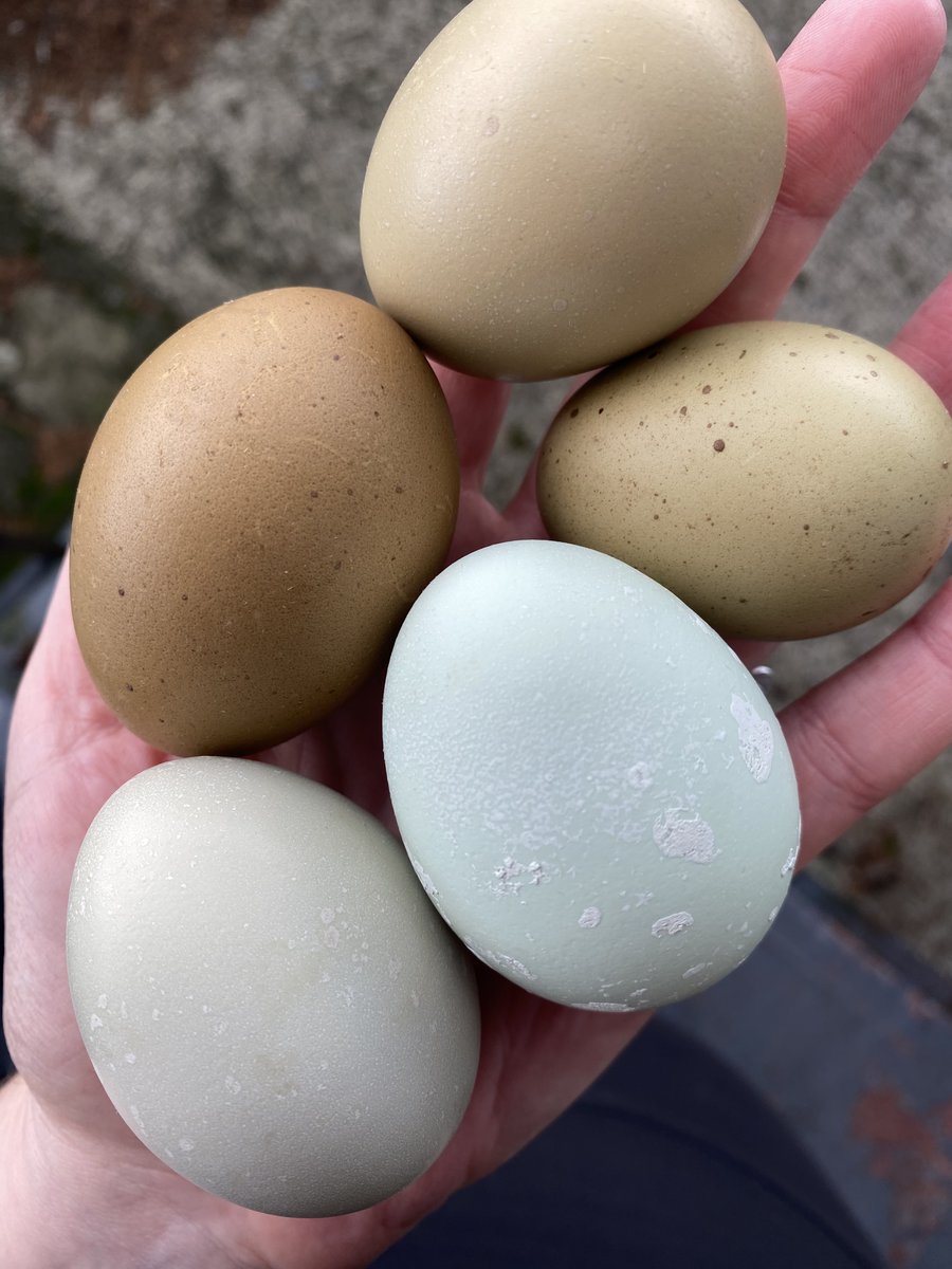 Florence Chevalier tweet media