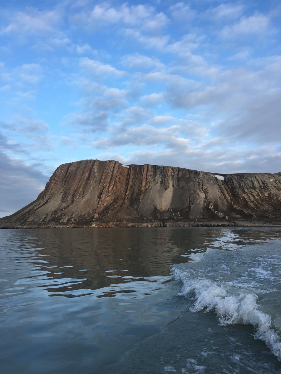 Ross Anderson (@ross_p_anderson) on Twitter photo New paper out today led by <a href="/SMughal315/">Sanaa</a>!
We revisit the famous 790-million-year-old Svanbergfjellet Formation for <a href="/GeolSoc/">The Geological Society</a>'s Lagerstätten Series.
Open access at:
lyellcollection.org/doi/full/10.11…
<a href="/royalsociety/">The Royal Society</a> | <a href="/UniofOxford/">University of Oxford</a> | <a href="/morethanadodo/">Oxford University Museum of Natural History</a> | <a href="/OxUniEarthSci/">Oxford Earth Sciences</a> New paper out today led by <a href="/SMughal315/">Sanaa</a>!
We revisit the famous 790-million-year-old Svanbergfjellet Formation for <a href="/GeolSoc/">The Geological Society</a>'s Lagerstätten Series.
Open access at:
lyellcollection.org/doi/full/10.11…
<a href="/royalsociety/">The Royal Society</a> | <a href="/UniofOxford/">University of Oxford</a> | <a href="/morethanadodo/">Oxford University Museum of Natural History</a> | <a href="/OxUniEarthSci/">Oxford Earth Sciences</a>