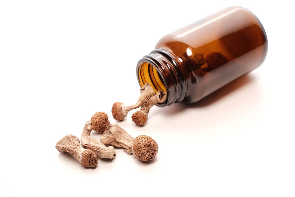 𝗜𝗻𝘁𝗲𝗿𝗮𝗰𝗰𝗶𝗼́𝗻 𝗱𝗲 𝗹𝗮 𝗽𝘀𝗶𝗹𝗼𝗰𝗶𝗯𝗶𝗻𝗮 𝗰𝗼𝗻 𝗼𝘁𝗿𝗮𝘀 𝘀𝘂𝘀𝘁𝗮𝗻𝗰𝗶𝗮𝘀 𝗽𝘀𝗶𝗰𝗼𝗮𝗰𝘁𝗶𝘃𝗮𝘀.

Este artículo explora cómo el cxnnxbis, cocaína, MDMA, alcohol y los opiáceos afectan la experiencia psicodélica de la psilocibina. 

bit.ly/3BZc7JL