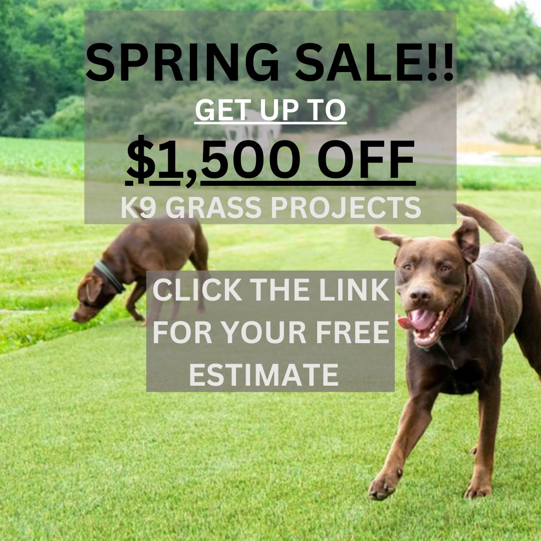 With up to $1,500 OFF, there’s no better time to discover why K9 Grass is the perfect upgrade for you and your furry family deserve! foreverlawnps.com/contact