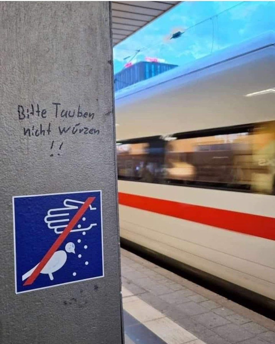 was darf man überhaupt noch, ich werde tauben weiterhin würzen