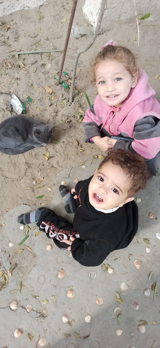 Can you support my GFM family‼️
I'm doing my best to save my kids from dying! 💔🙏
Please donate as much as you can😔

We only need $79 to reach our short term goal of $1k
Please retweet, quote, and like, I'm annoying you
Comment with 🇵🇸 or 🍉

gofundme.com/f/help-my-chil…