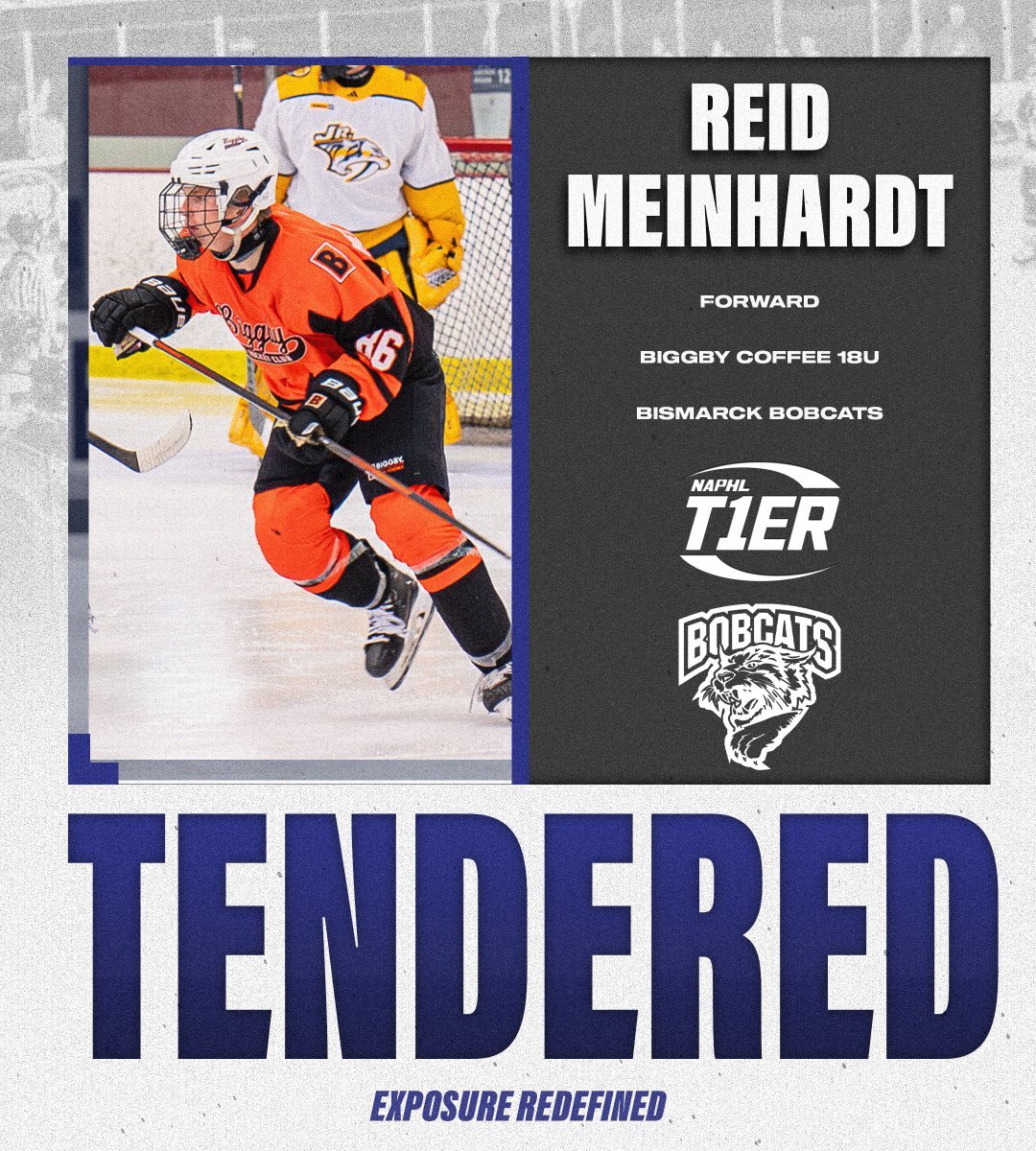 NAPHL's tweet photo. #NAPHL T1ER Advancement: @BiggbyCoffeeHKY forward Reid Meinhardt has signed an @NAHLHockey tender agreement with the @BismarckBobcats.

📰: https://t.co/oAqKgfBDzk https://t.co/s7DRs80aXh