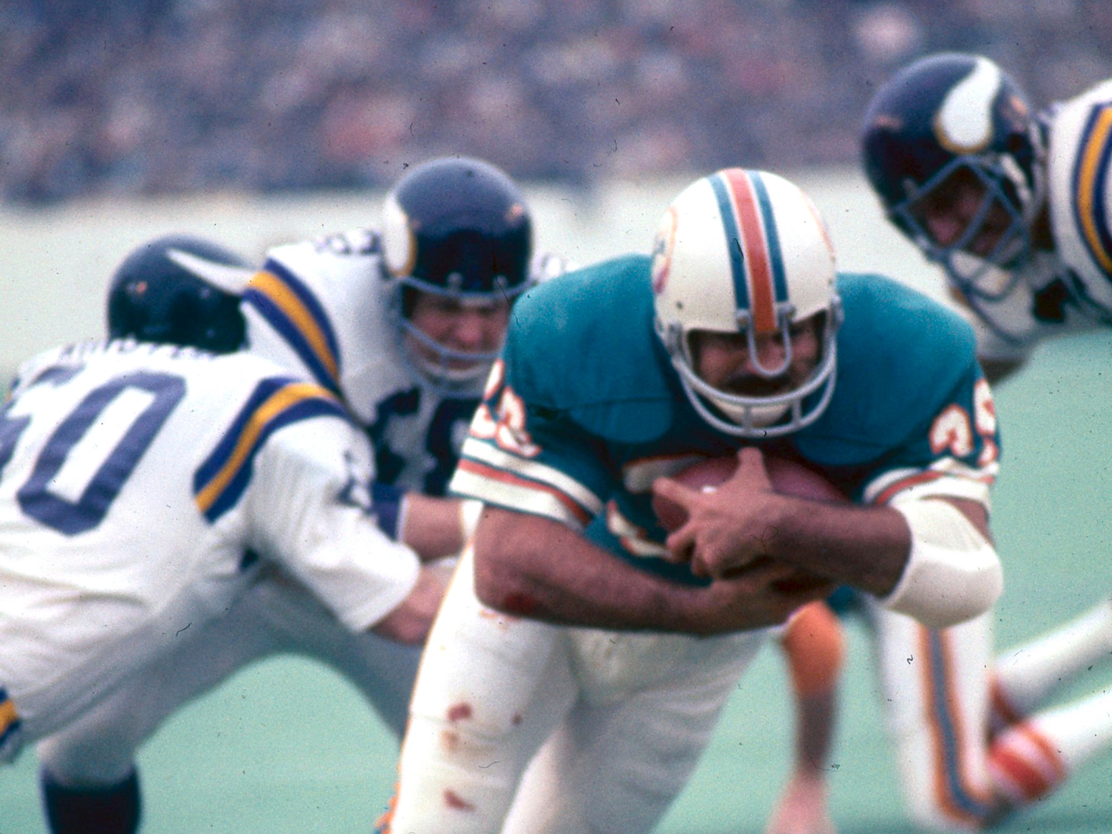 Miami dolphins nfl championships 1974 discount
