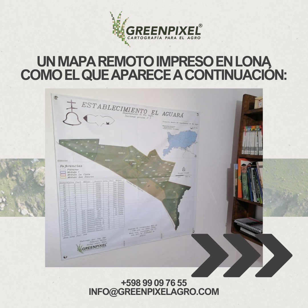 GreenPixel 🇺🇾 tweet media