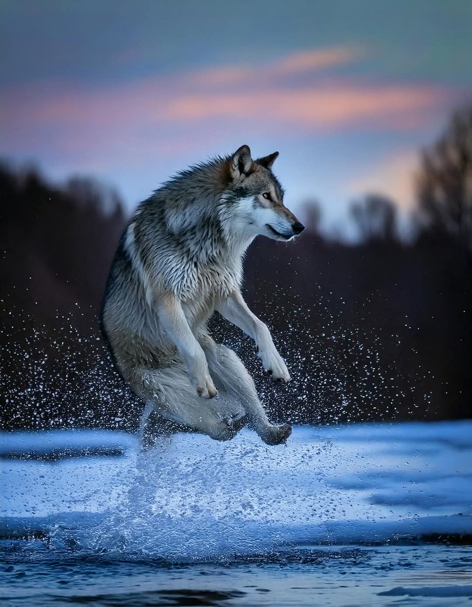 🕊🪢💚 Warrior Wench Paddystinian🍉 tweet media