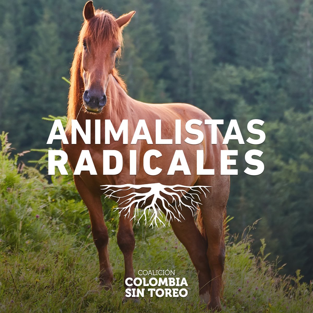 Colombia Sin Toreo (@colsintoreo) on Twitter photo En el marco de las infames cabalgatas de #Manizales, <a href="/ChriGarces/">Christian Garcés</a> hostigó y señaló a la veeduría ciudadana de protección animal por su "radicalismo".
Lee la respuesta a estos señalamientos: #AnimalistasRadicales por <a href="/jorgedomontoya/">JorgEMontoya</a>
👉bit.ly/animalistasrad…
🐎🇨🇴🐂 En el marco de las infames cabalgatas de #Manizales, <a href="/ChriGarces/">Christian Garcés</a> hostigó y señaló a la veeduría ciudadana de protección animal por su "radicalismo".
Lee la respuesta a estos señalamientos: #AnimalistasRadicales por <a href="/jorgedomontoya/">JorgEMontoya</a>
👉bit.ly/animalistasrad…
🐎🇨🇴🐂