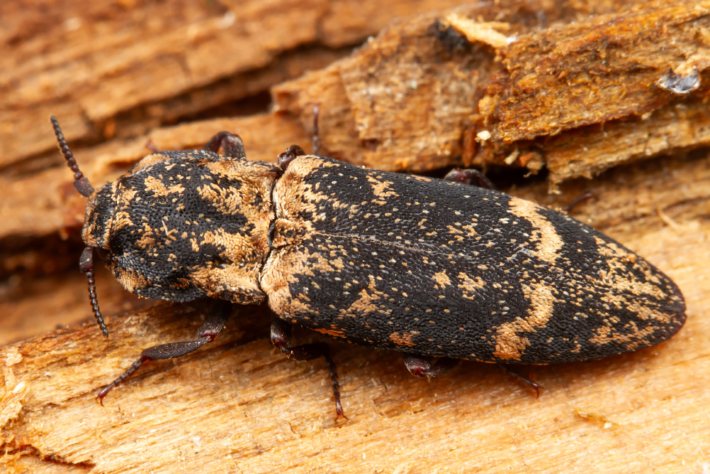 Uģis Piterāns tweet media