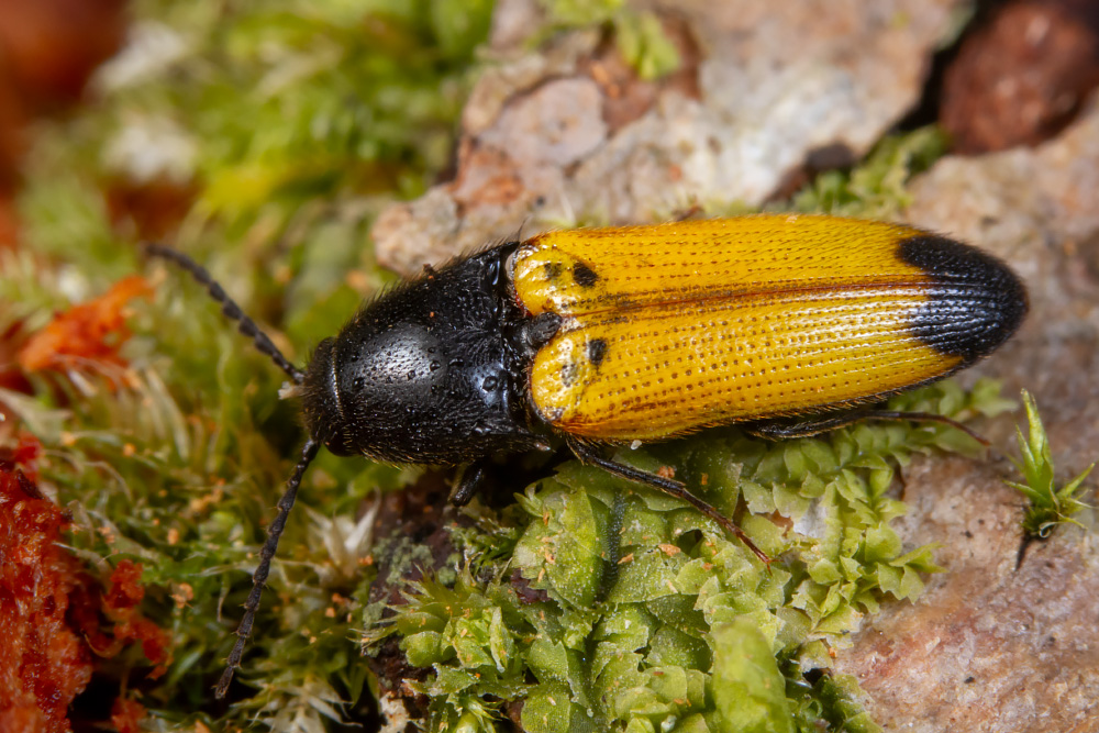 Uģis Piterāns tweet media