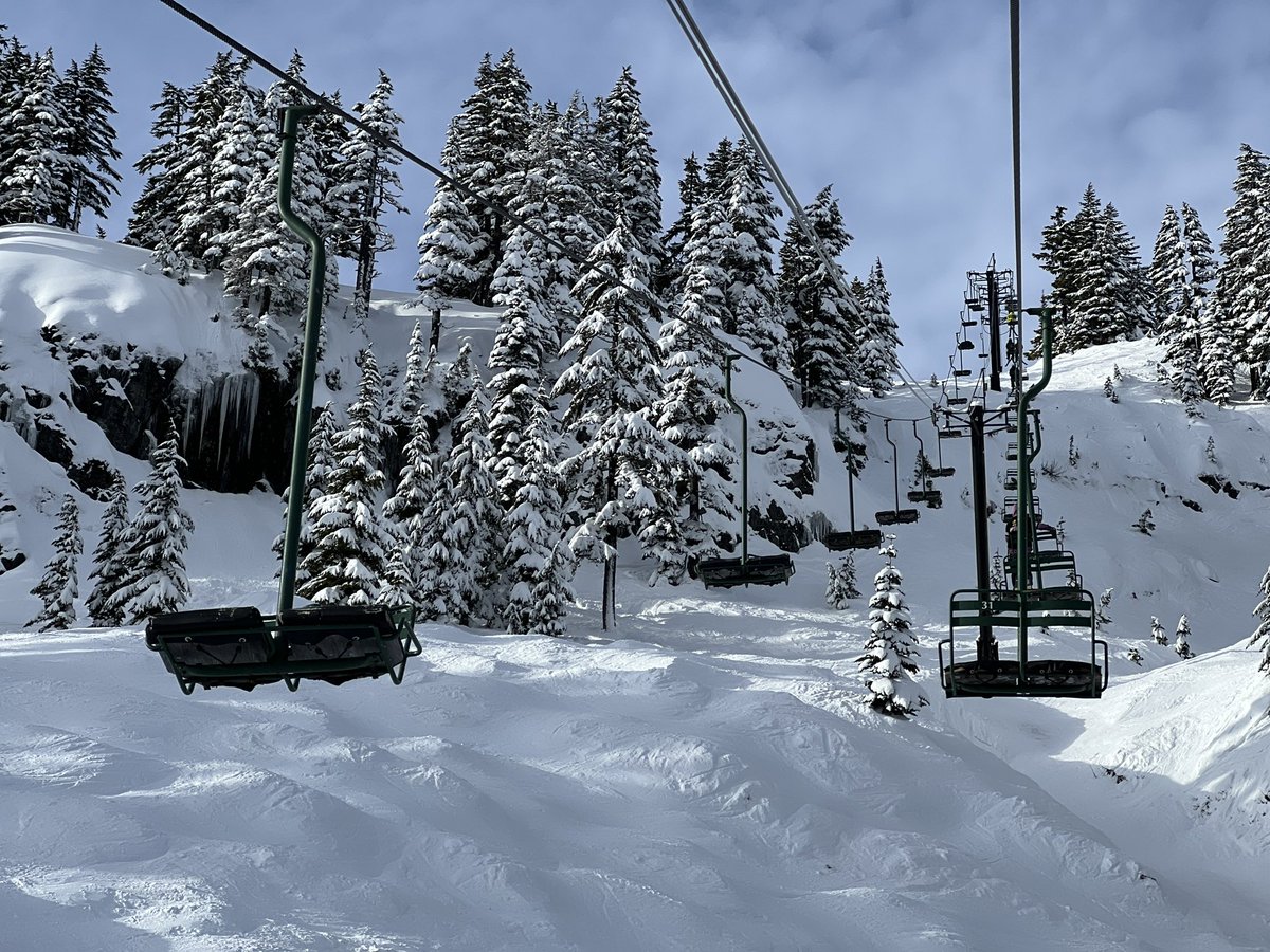 The Storm Skiing Journal & Podcast tweet media