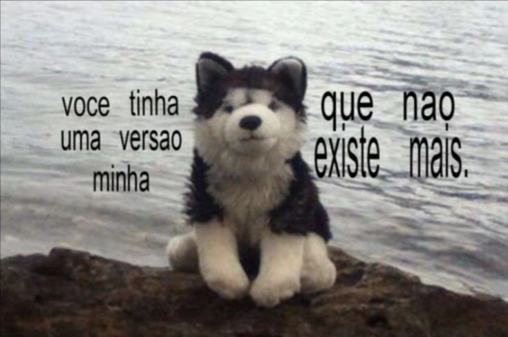 diojodior's tweet photo. https://t.co/nyqXmvEa7r