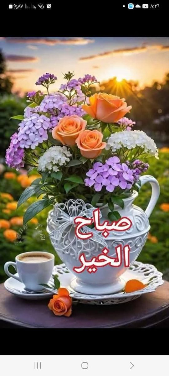 بدورالغامدي tweet media