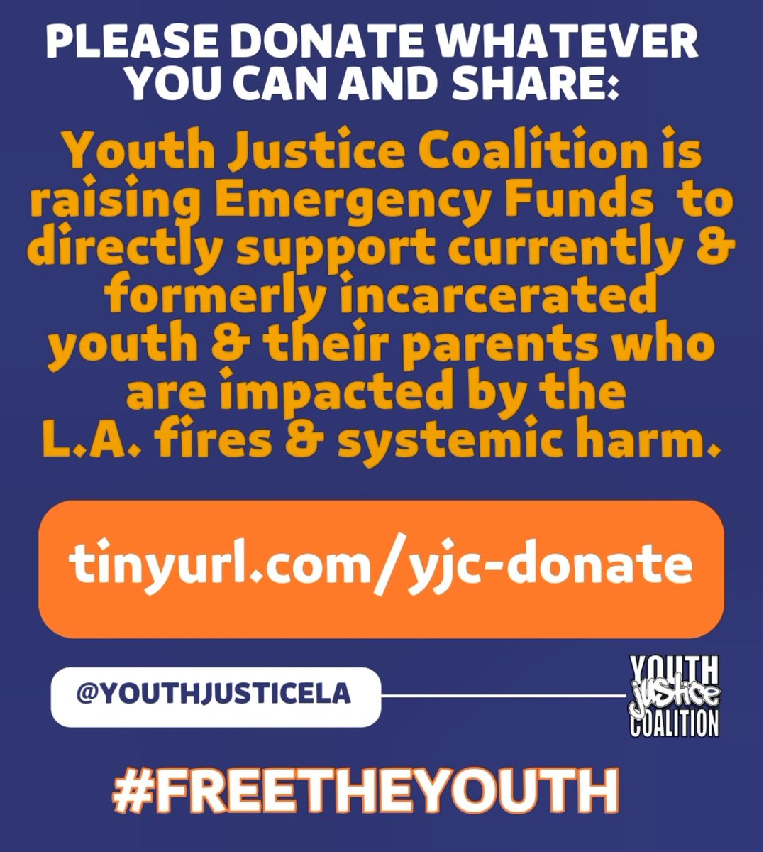 PLEASE DONATE WHATEVER YOU CAN &amp; SHARE: ❤️‍🩹 Youth Justice Coalition is raising Emergency Funds  to directly support currently &amp; formerly incarcerated youth &amp; their parents who are impacted by the L.A. fires &amp; systemic harm. 🫶🏿🫶🏽❤️‍🩹 
tinyurl.com/yjc-donate 

#FreeTheYouth