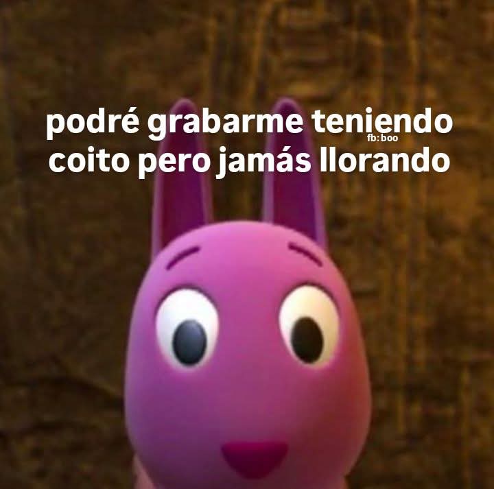 🇲🇽 México Mágico ✨ tweet media