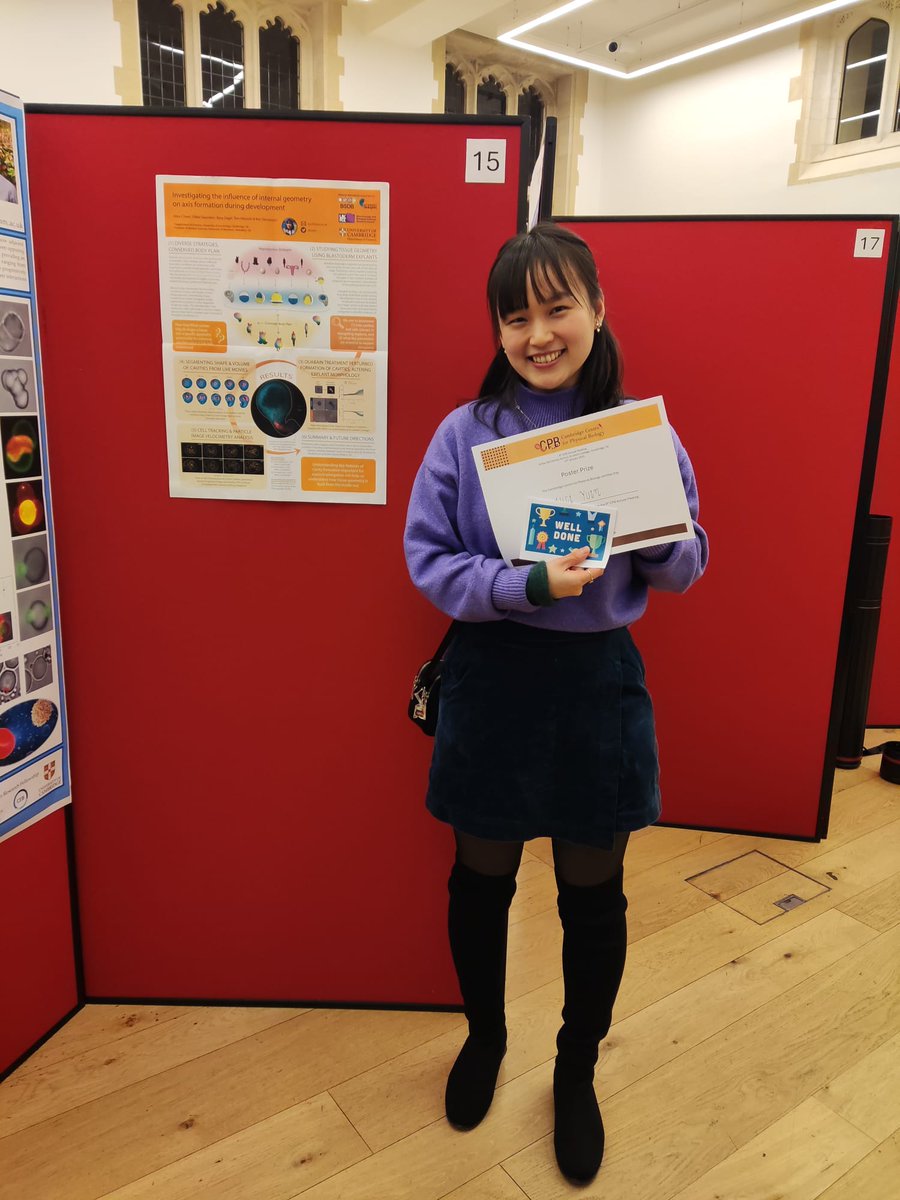 ACYuen🐢 tweet media