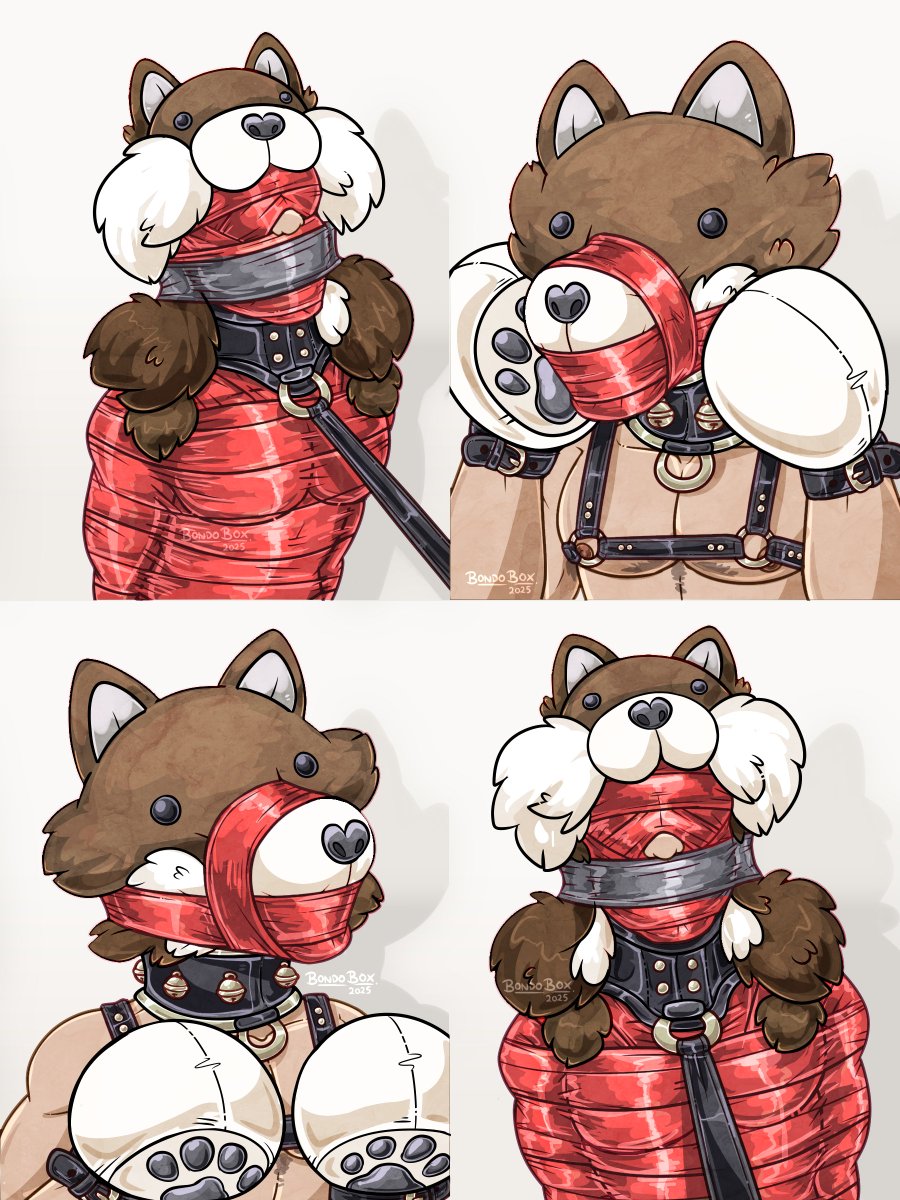 BondoBox 🥊⛓ tweet media