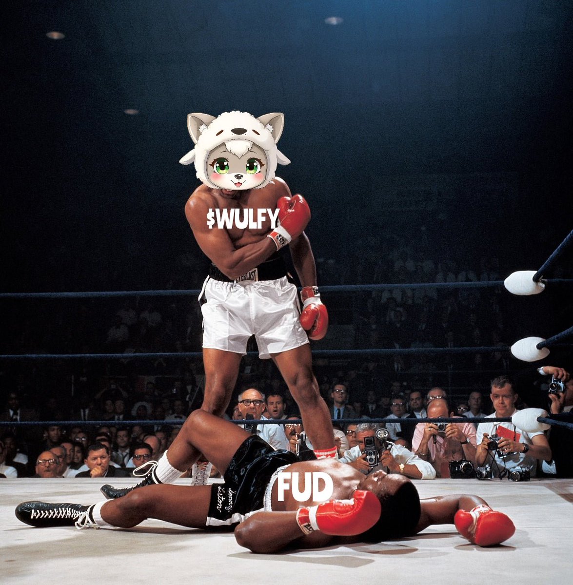 joyvads74's tweet photo. @WULFY_SOL #standstronger on team. Very transparent. Hasn't seen team like this so far. 🚀🚀🚀 https://t.co/GyT317Rnhe