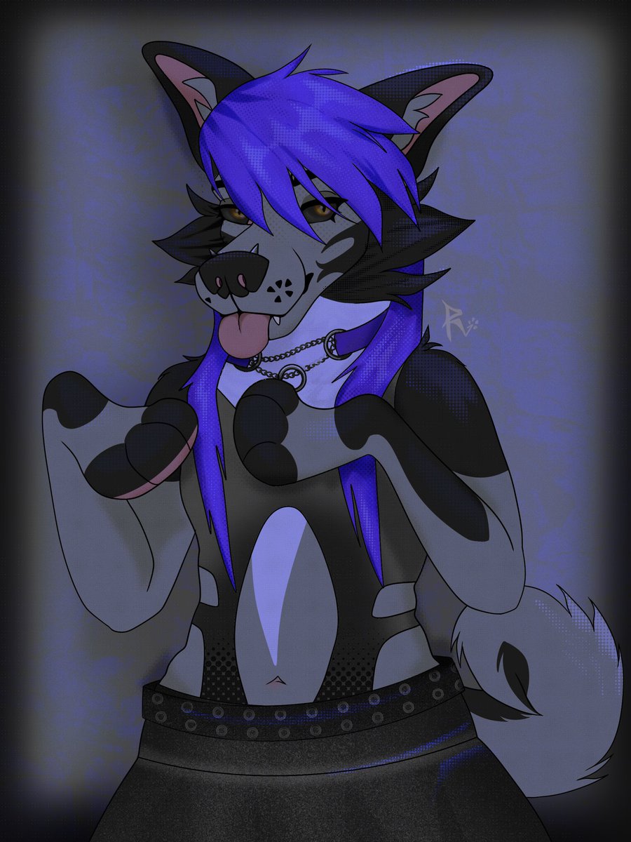 Wonic_Paws tweet media