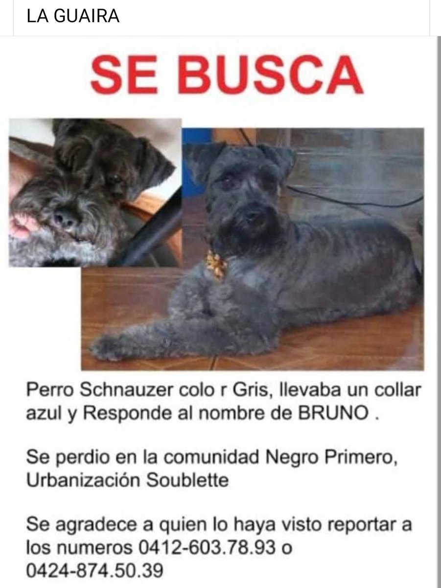 Se busca a Bruno en la Guaira urbanización Soublette