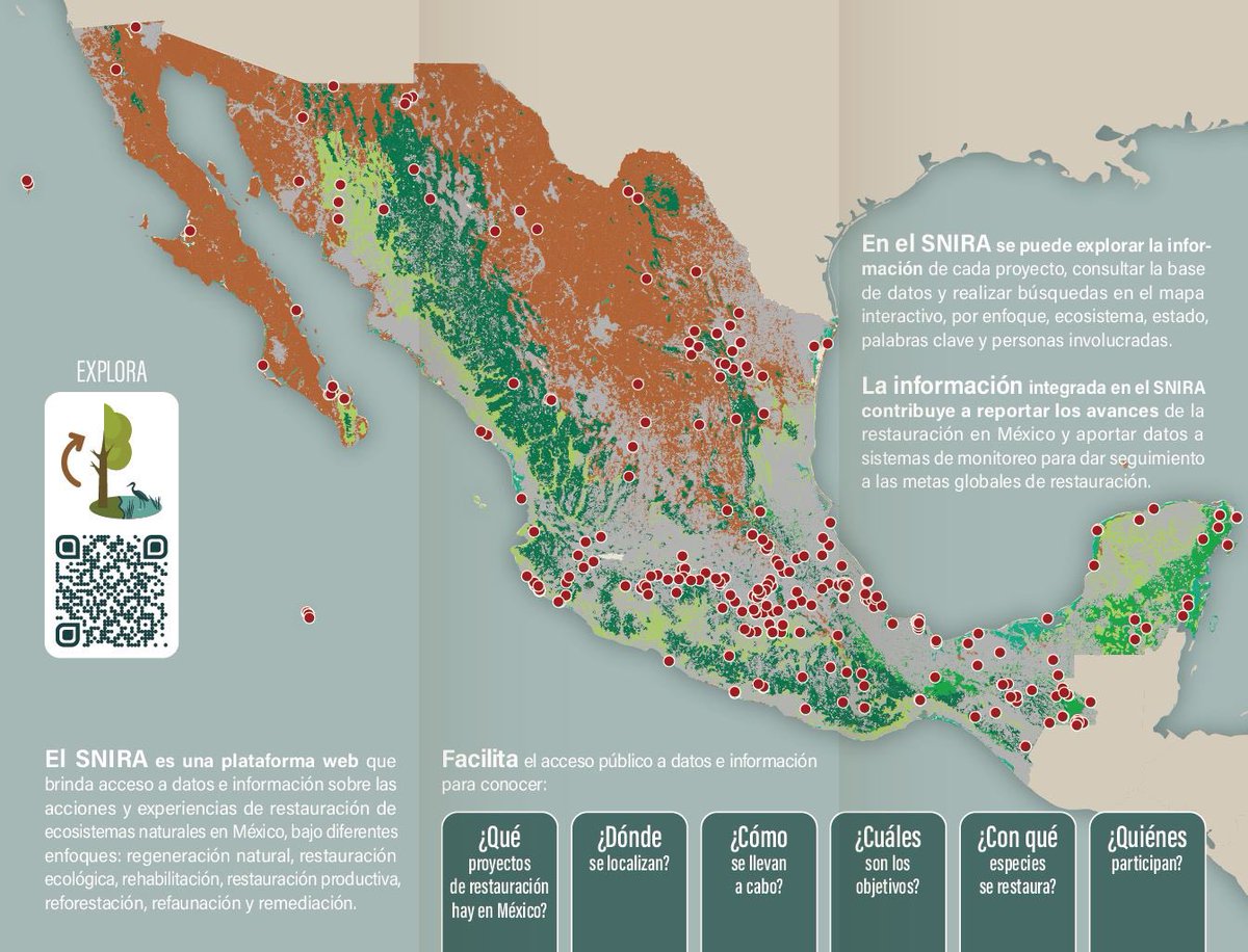 #CuidandoNuestraBiodiversidad
Con el fin de ofrecer una guía para la implementación de acciones en el contexto del #ProgramaNacionaldeRestauración, se identificaron las áreas elegibles para la restauración ambiental en el ámbito nacional.

Gracias a alianzas estratégicas, en el