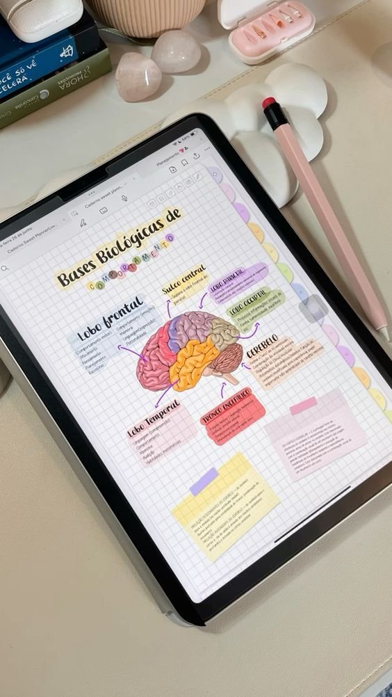 LiteraPromos 📚 tweet media