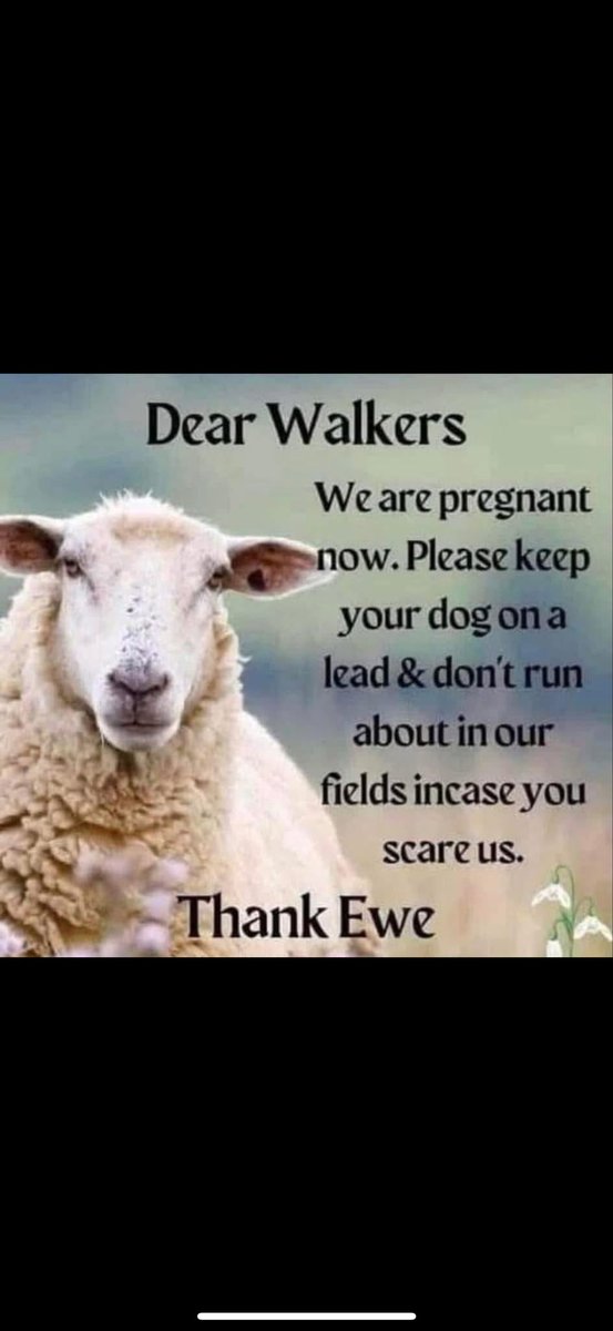 Martin Curtis (@woolcarpets) on Twitter photo 